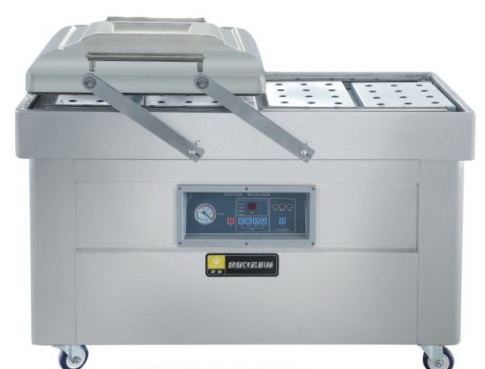 Vacuum Sealer DZ500-2SA